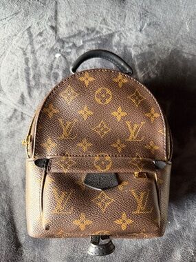 Louis Vuitton Palm Springs Mini Backpack
